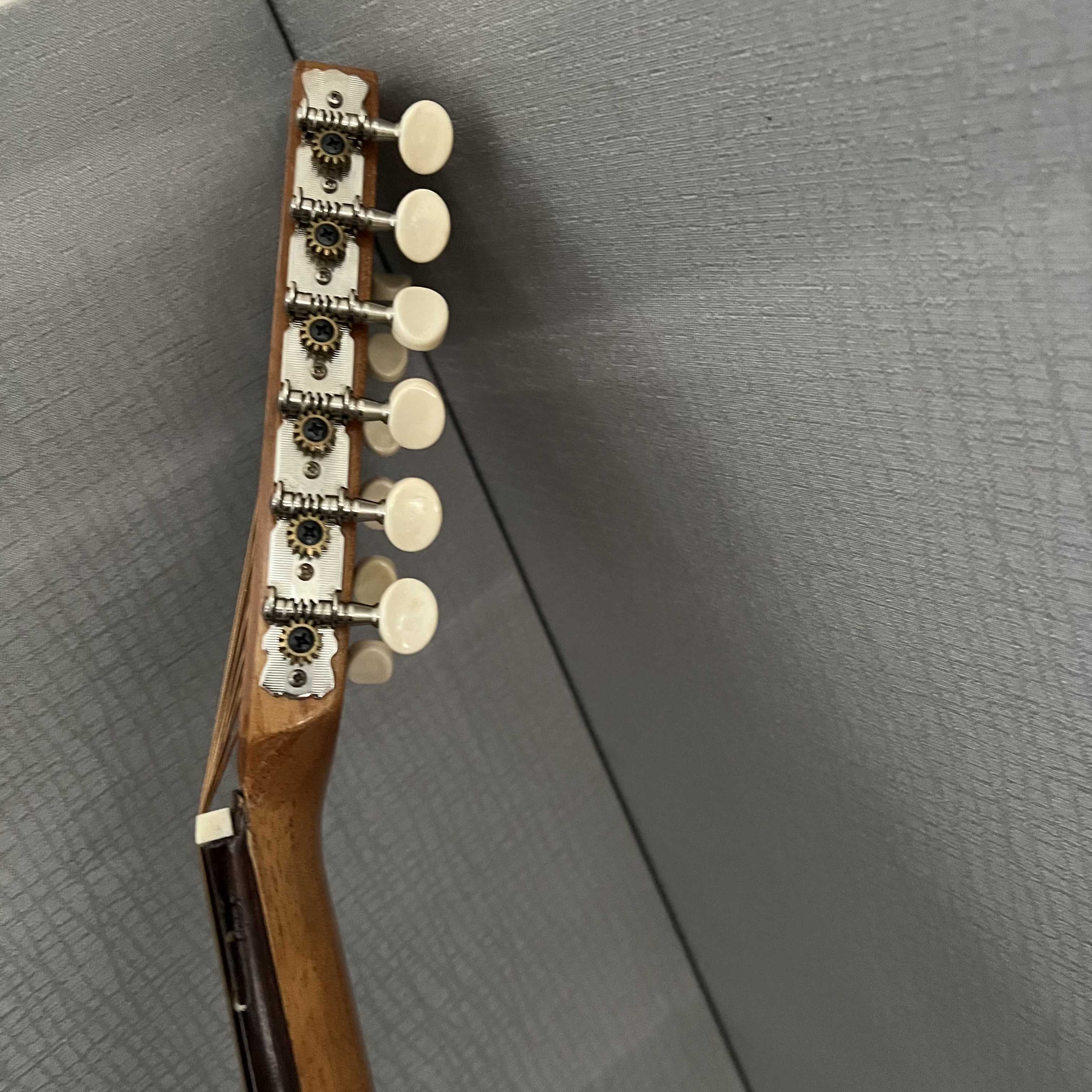 Cordoba 12 String Sexto Guitar - Photo 12