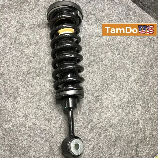 Unity 11380 Front Strut Assembly Replacement for Monroe 171369 at TamDoUS Taylorsville