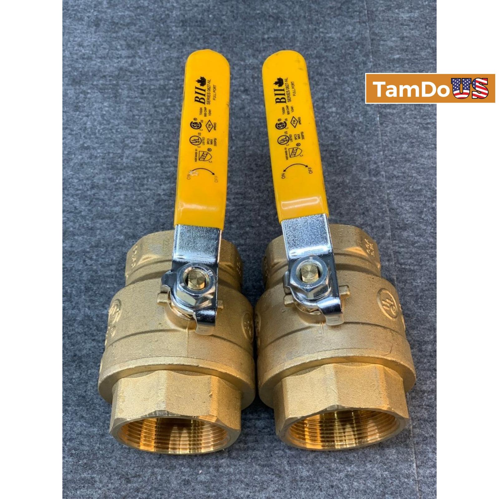 (2-Pack) BII Series 0827-NL Full Port Ball Valve, Lead-Free Brass, FNPT Ends - Photo 6
