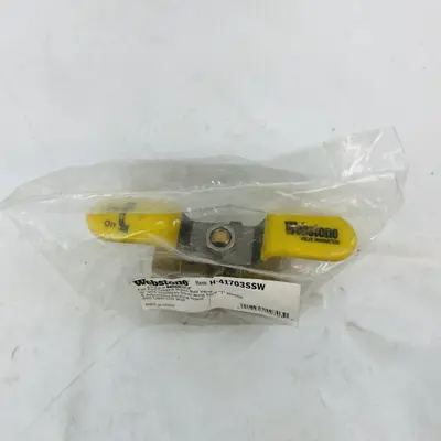 Webstone 3/4" 600 PSI WOG T-Handle Ball Valve H-41703SSW at Electrical Equipment & Supplies in new condition
