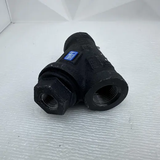 Watts 77S1 3/4" Threaded Cast Iron Wye Pattern Strainer at TamDoUS Taylorsville