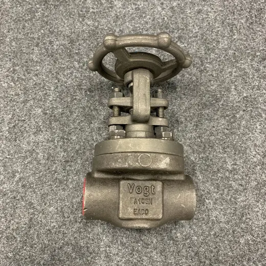 Vogt OEM Forged Gate Valve 800# 3/4" at TamDoUS Taylorsville