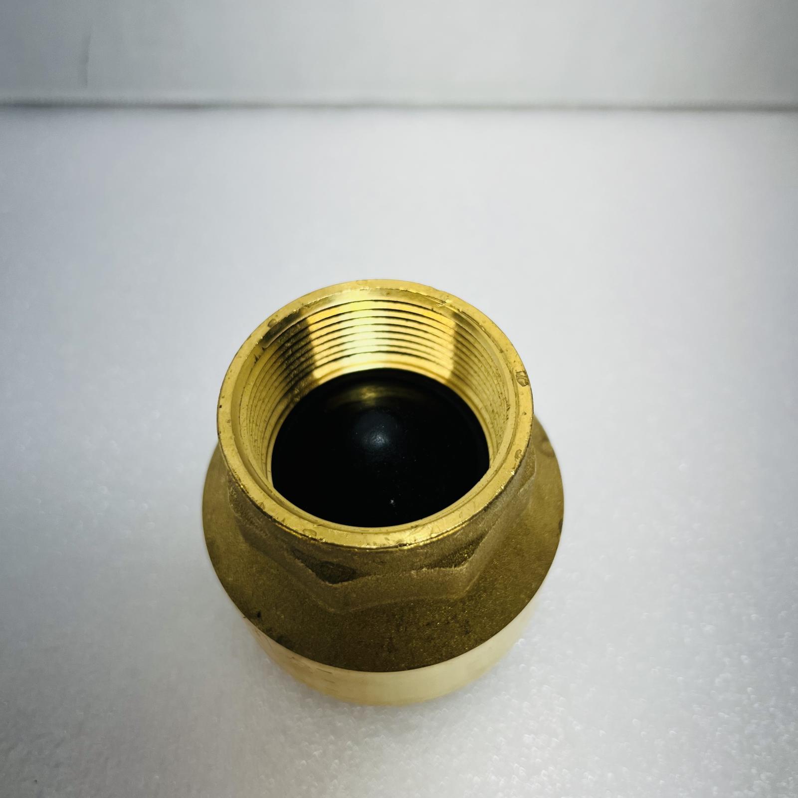 PROFLO PFSCVJ Series 1-1/2 in. Brass Threaded Spring Check Valve - Photo 5