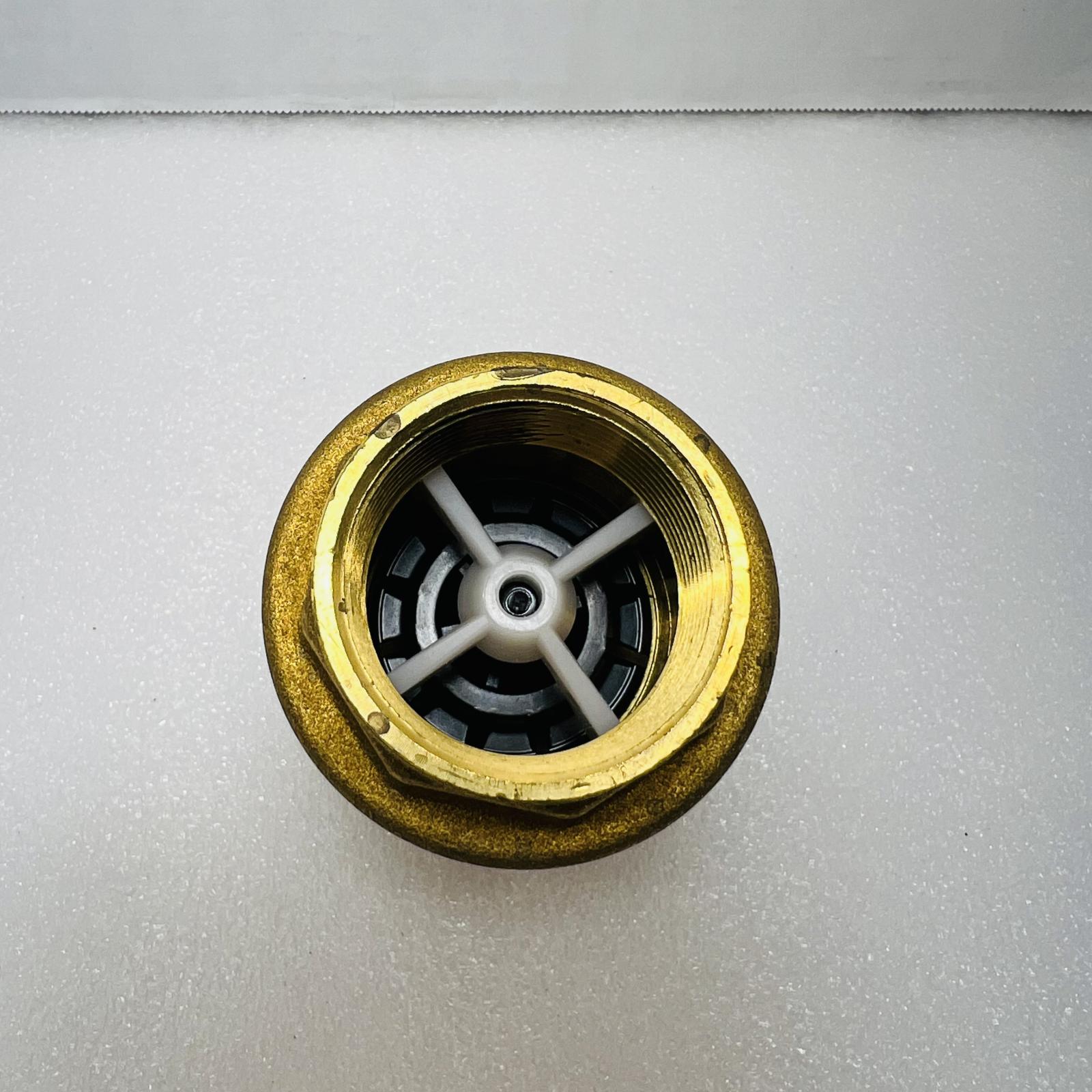 PROFLO PFSCVJ Series 1-1/2 in. Brass Threaded Spring Check Valve - Photo 3