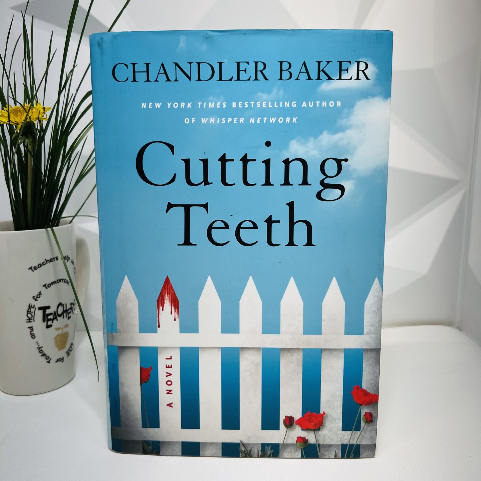 Lot of 13 Used Fiction Books, James Patterson, Kiera Cass, W. Bruce Cameron+More! - Photo 32