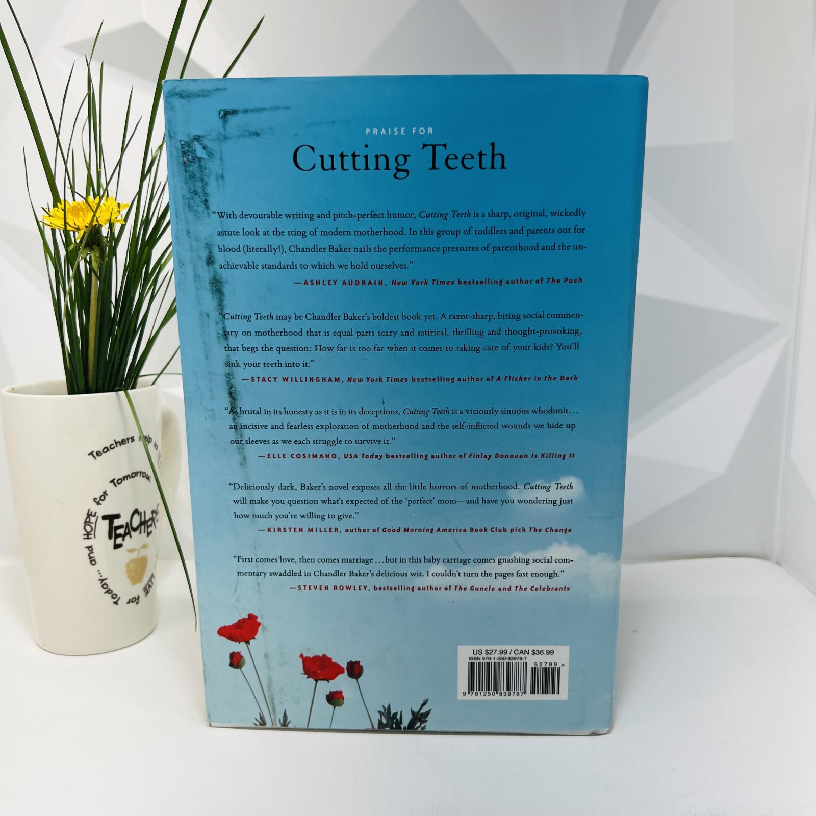 Lot of 13 Used Fiction Books, James Patterson, Kiera Cass, W. Bruce Cameron+More! - Photo 13