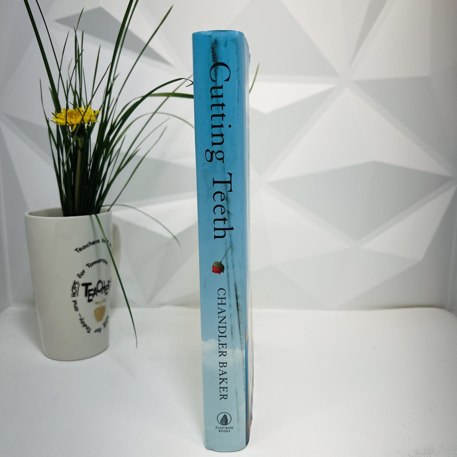 Lot of 13 Used Fiction Books, James Patterson, Kiera Cass, W. Bruce Cameron+More! - Photo 12