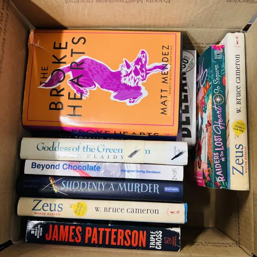 Lot of 13 Used Fiction Books, James Patterson, Kiera Cass, W. Bruce Cameron+More! at TamDoUS Taylorsville