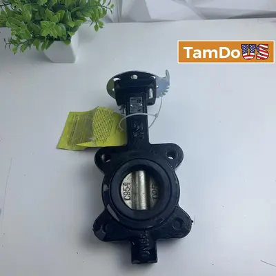 Apollo LD14125BE11A Valve, 25mm, 200 PSI, Lead-Free, New at Hydraulics, Pneumatics & Plumbing in new condition