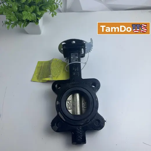 Apollo LD14125BE11A Valve, 25mm, 200 PSI, Lead-Free, New at TamDoUS Taylorsville