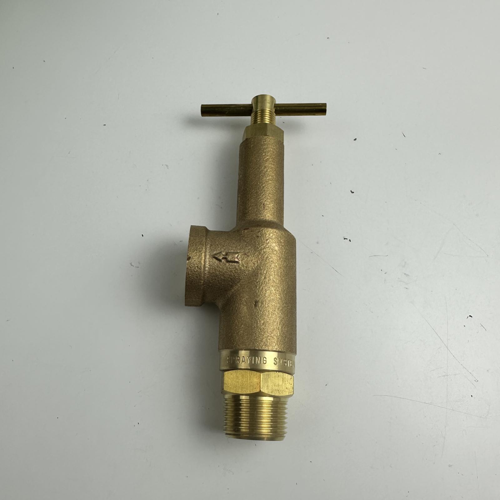 Spraying Systems Brass Control Valve, 300 PSI, 3/4" NPT x 1/2" Side Port - Photo 2