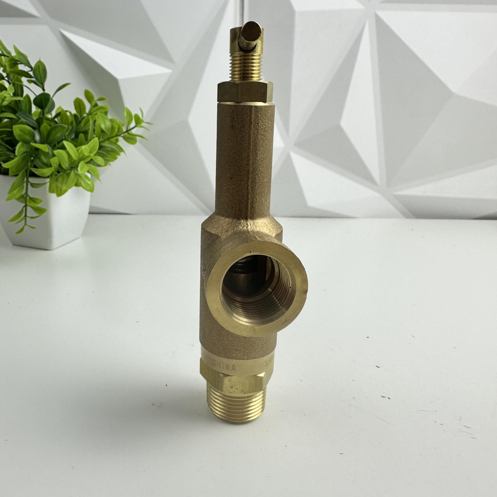 Spraying Systems Brass Control Valve, 300 PSI, 3/4" NPT x 1/2" Side Port - Photo 4