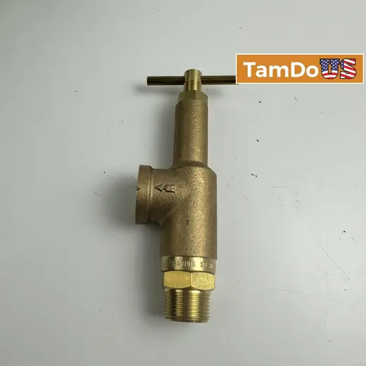 Spraying Systems Brass Control Valve, 300 PSI, 3/4" NPT x 1/2" Side Port at TamDoUS Taylorsville