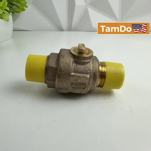 M&D Brass Check Valve 1" NPT 300WOG One Way Non-Return Valve at TamDoUS Taylorsville