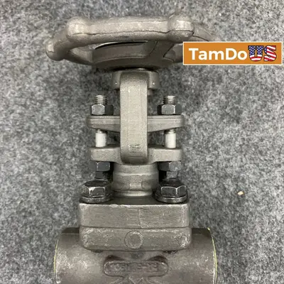 OMB Italy 3/4" Gate Valve Class 800 Forged Steel A105N at Electrical Equipment & Supplies in excellent condition