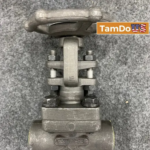 OMB Italy 3/4" Gate Valve Class 800 Forged Steel A105N at TamDoUS Taylorsville