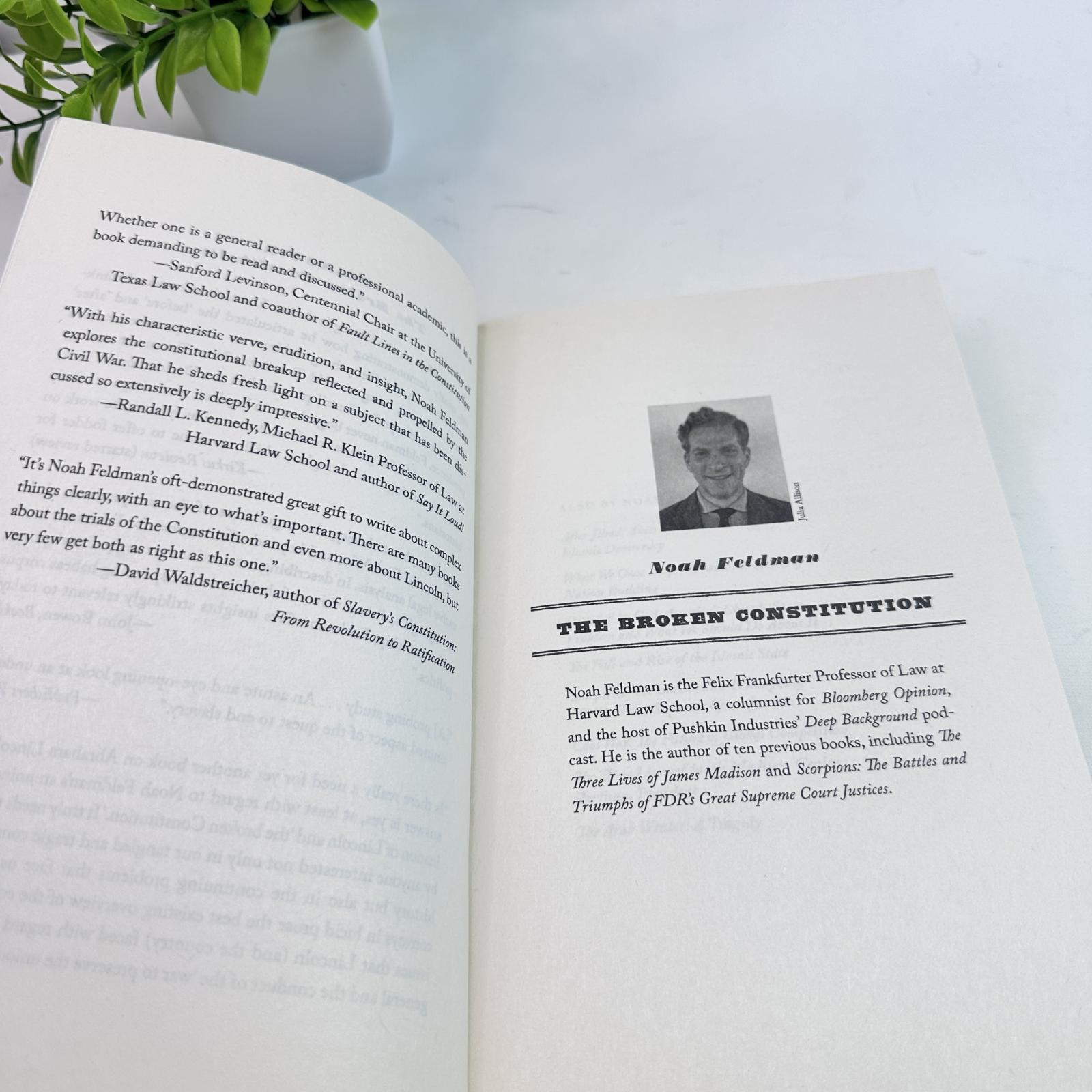 The Broken Constitution by Noah Feldman – Lincoln, Slavery & Refounding America - Photo 4