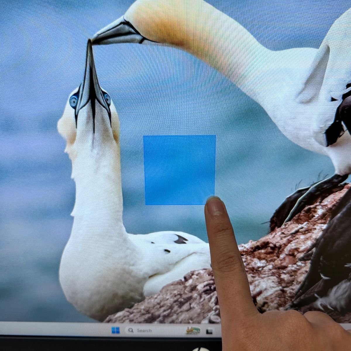 HP All-in-One Desktop 24", Ryzen AI 5 340, 16GB, 512GB SSD - Photo 9